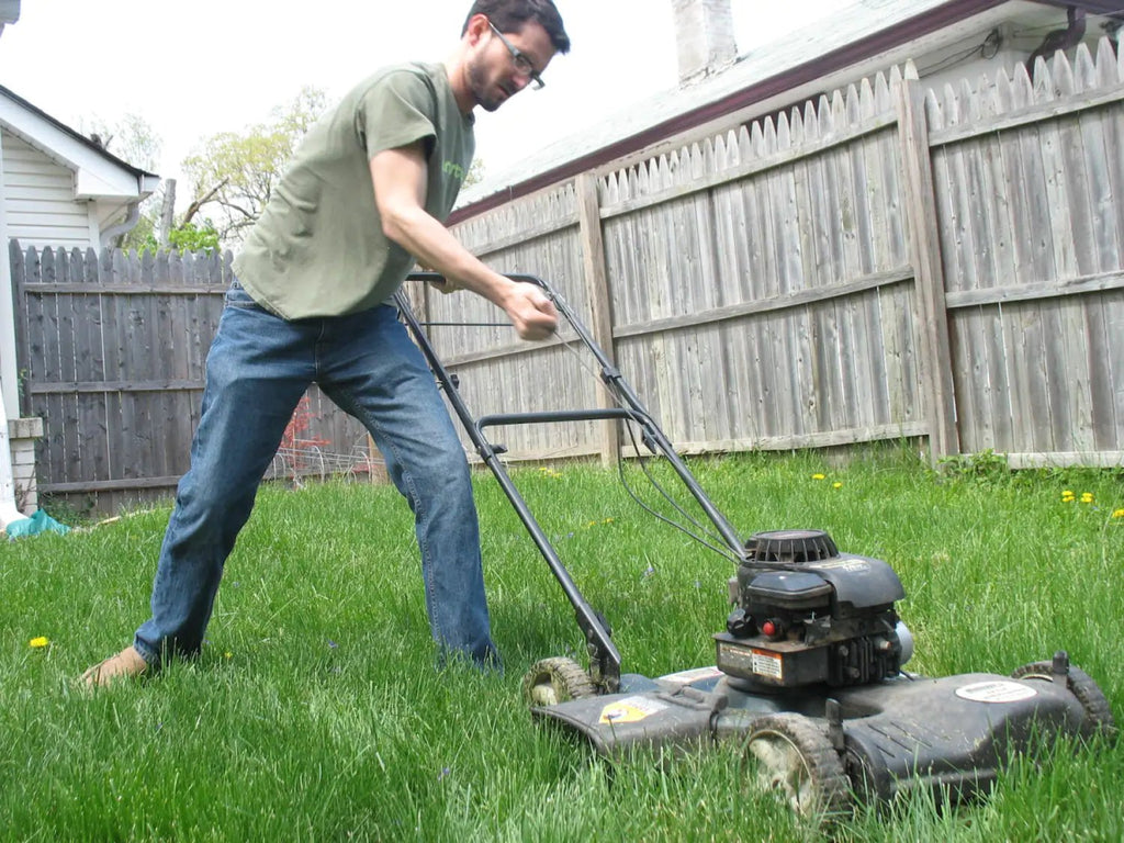 Kill Your Lawn! Save Your Money (And Your Environment)
