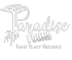 Paradise Found Nursery