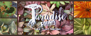 Paradise Found Nursery Succulent Cactus Banner