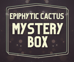 Epiphytic Cactus Mystery Box Jungle Cactus