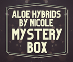 Aloe Hybrids by Nicole Mystery Box - Five Aloe Plants Total