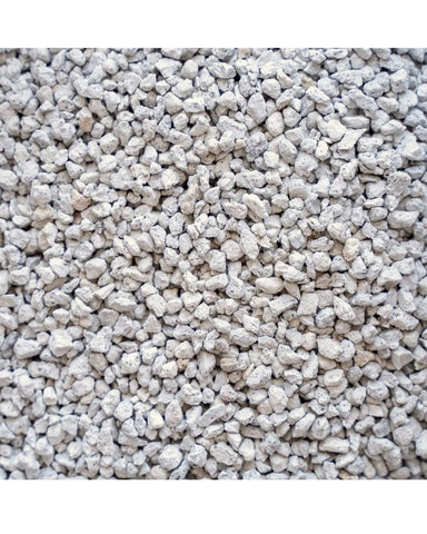 Horticultural Pumice 1 gallon Succulent Soil Amendment
