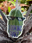 Looking Sharp Prickly Cactus Vinyl Sticker