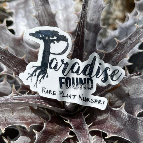 Paradise Found Nursery Logo Vinyl Sticker