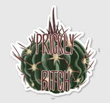 Vinyl Stickers V.2 MULTIPLE OPTIONS
